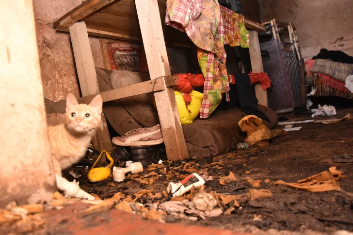 Puso una cámara para ver lo que hacía su gato mientras dormía y el video se volvió viral