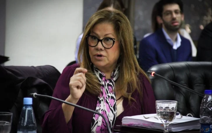 Camaño sobre las medidas del Gobierno: “No solucionan los problemas de fondo”