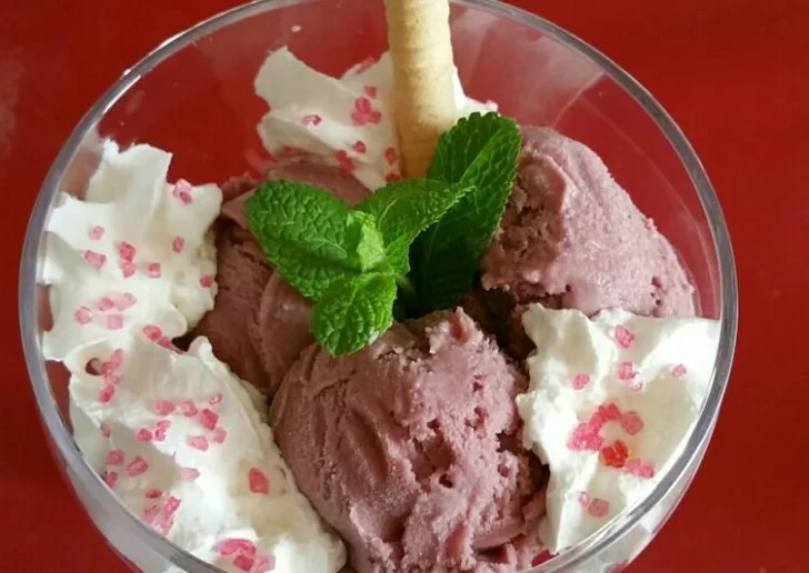 helado-de-vino-tinto-foto-principal-728x516