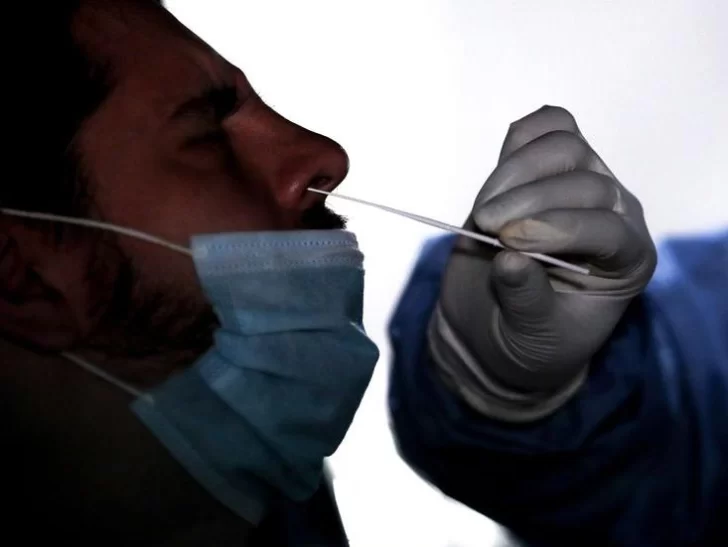 Investigadores revelan cuánto tiempo persisten los anticuerpos luego de la infección de Covid