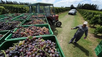 Bodegueros apoyan al Gobierno nacional en las negociaciones por libre comercio