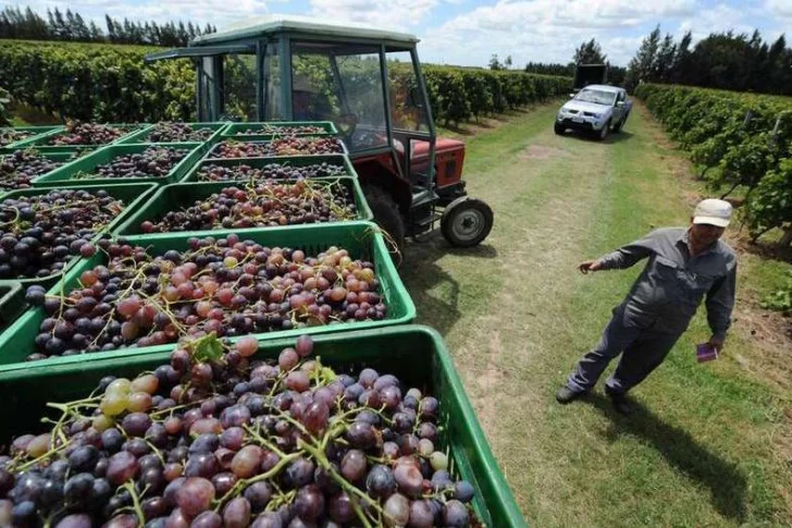 Bodegueros apoyan al Gobierno nacional en las negociaciones por libre comercio