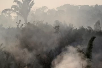 [EN VIVO] El humo del Amazonas avanza sobre Argentina y llegó a San Juan