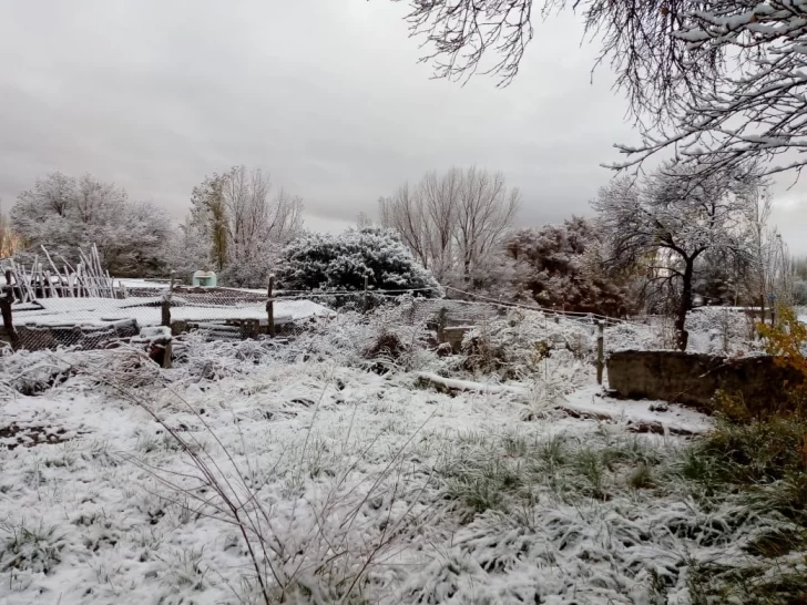 Nieve en Iglesia y hielo en El Colorado, los efectos del frente subpolar en San Juan