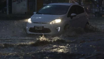 La fuerte tormenta en Mendoza dejó un muerto, árboles caídos y calles anegadas