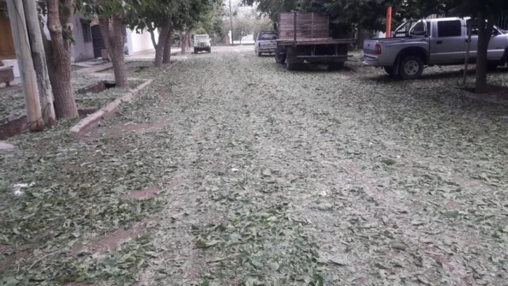 El granizo provocó importantes daños en departamentos de Mendoza