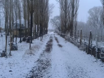 Una ola polar traerá importantes nevadas a la Cordillera y máxima de 7° al Gran San Juan