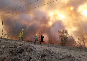 Parque Sarmiento, sin visitas guiadas a causa del incendio