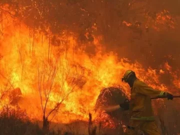 Carlos Paz: 26 evacuados y tres bomberos heridos en incendios forestales