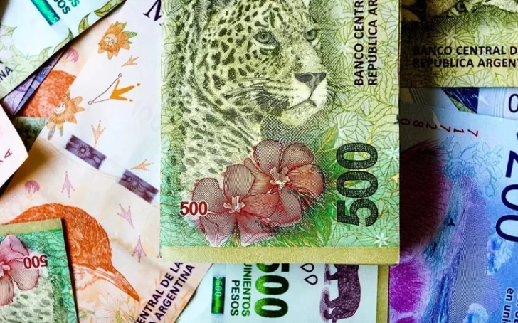 El Gobierno anunciará el reemplazo de los animales de los billetes por próceres