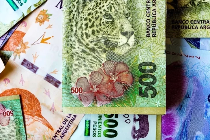 El Gobierno anunciará el reemplazo de los animales de los billetes por próceres