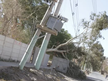 El listado de recomendaciones a tener en cuenta para evitar accidentes durante el viento