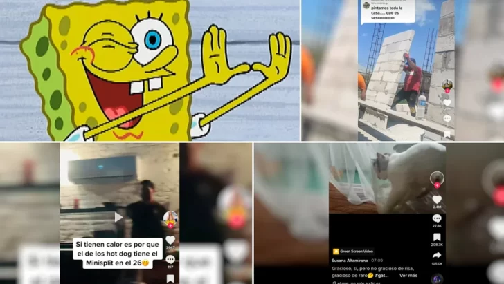 De dónde salió la frase viral de TikTok: “Pintamos toda la casa…qué es eso”