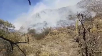 Otra vez, incendios forestales afectan a Valle Fértil: un helicóptero trabaja en el lugar