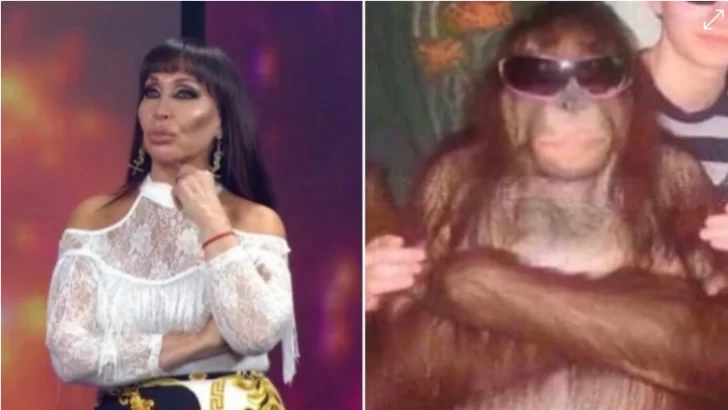 Moria Casán se peleó con Laurita Fernández y estallaron los memes