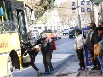 Desde ahora, en horas pico podrán ir hasta 10 pasajeros parados en los micros de línea