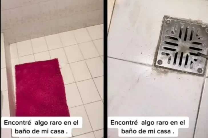 Abrió el desagüe de su baño, encontró algo rarísimo y generó todo tipo de especulaciones