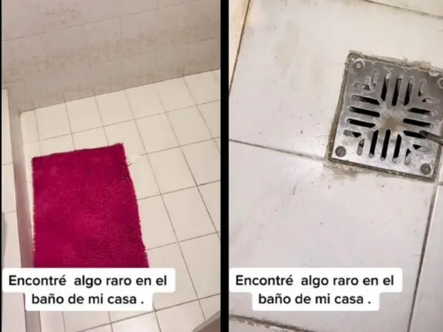 Abrió el desagüe de su baño, encontró algo rarísimo y generó todo tipo de especulaciones