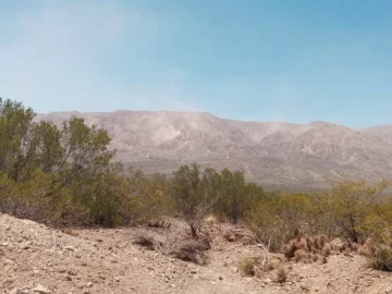 En un minuto, cada una de las 154 réplicas que hubo en las 72 horas posteriores al terremoto