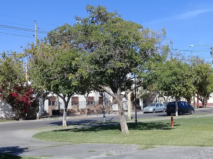 En un confuso episodio en una plaza, le desfiguraron el rostro a un chico de 16 años