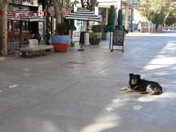 El funcionamiento de los servicios en San Juan durante este sábado de Navidad