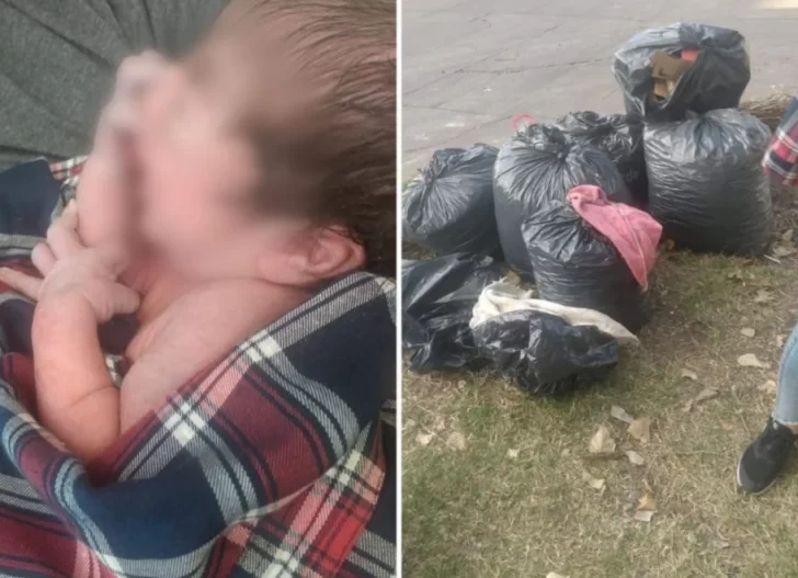 Una vecina creyó que había un gatito abandonado entre bolsas de basura y era una beba