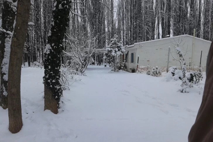 San Juan, bajo nieve: Ullum se sumó a Jáchal y Pedernal