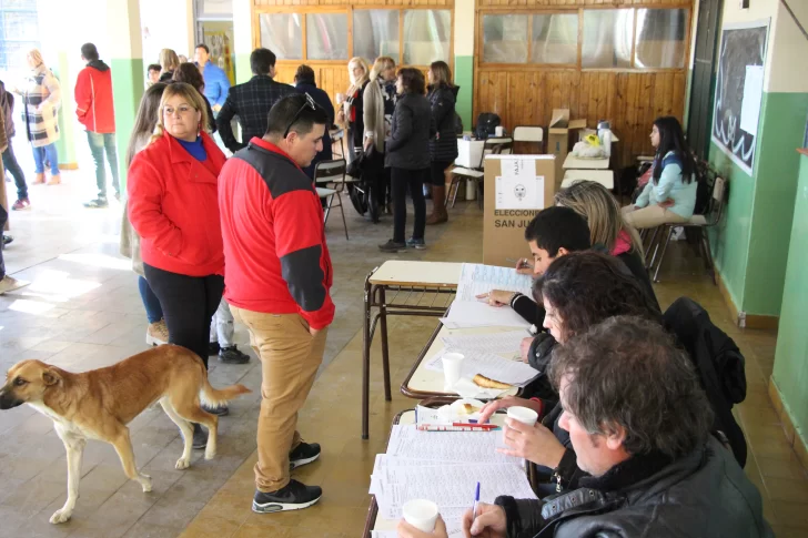 Elecciones Generales: votó cerca del 74% del padrón, sólo un poco menos que en las PASO