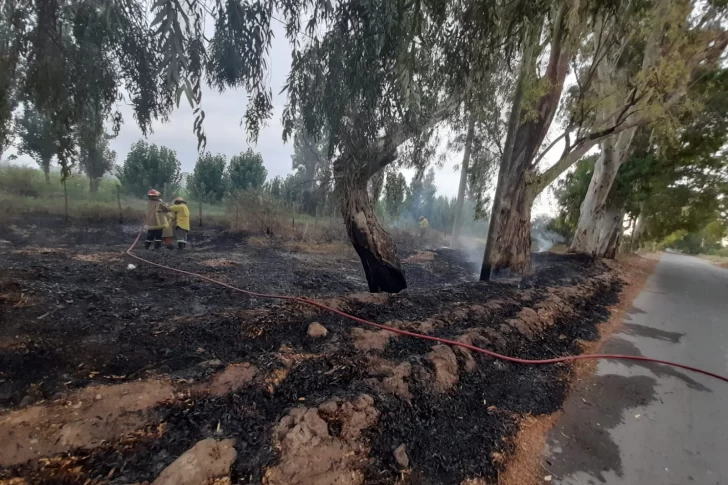 En medio del viento Zonda, Bomberos debieron sofocar al menos 13 incendios