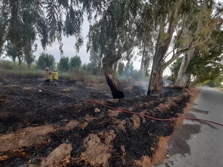 En medio del viento Zonda, Bomberos debieron sofocar al menos 13 incendios