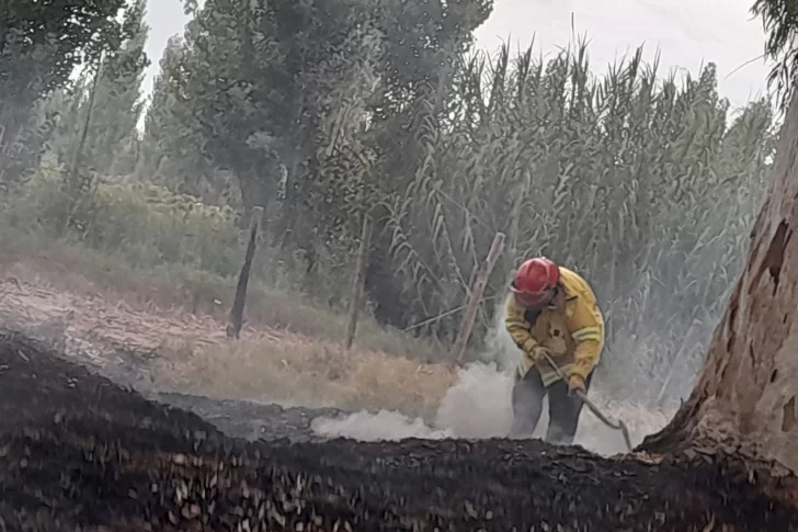 Un municipal por cada quema de pastizales, la polémica ordenanza rawsina