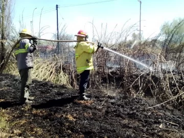 El incendio en Carpintería arrasó con una hectárea de pastizales