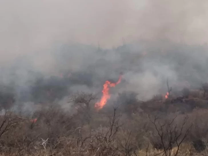 Unas 700 hectáreas fueron afectadas por un incendio en las sierras de Valle Fértil