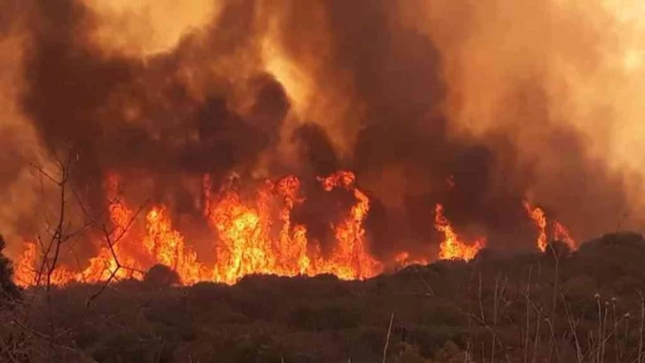 Desde el Gobierno insisten en que investigarán la causa de los incendios