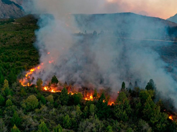 Incendio en Río Negro: el viento no da tregua y hay al menos 6.500 hectáreas afectadas