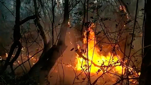 Jujuy sigue siendo la provincia más afectada por los incendios forestales