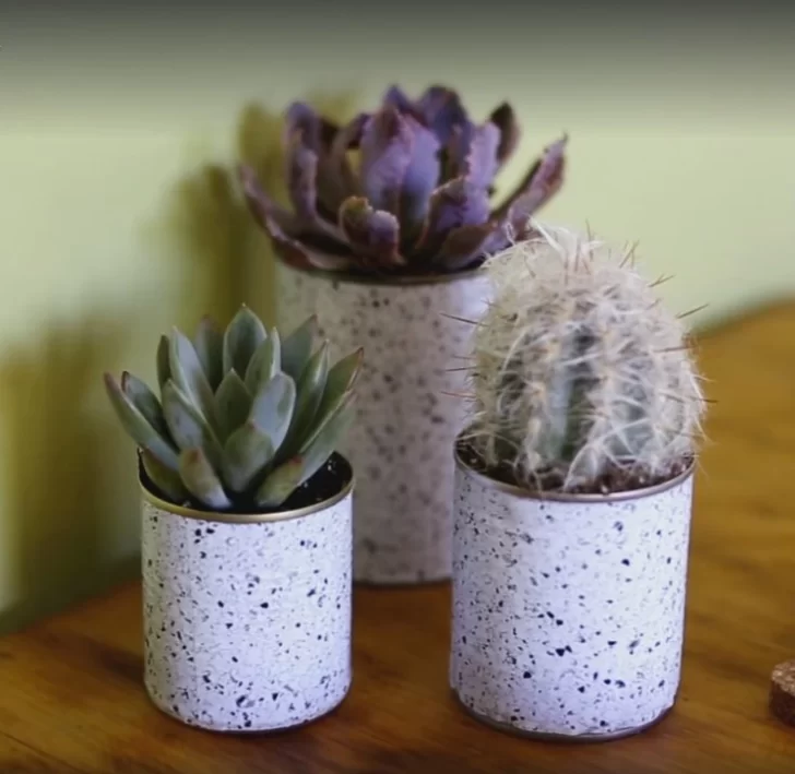 Cómo hacer una maceta para las plantas con materiales reciclados y en familia