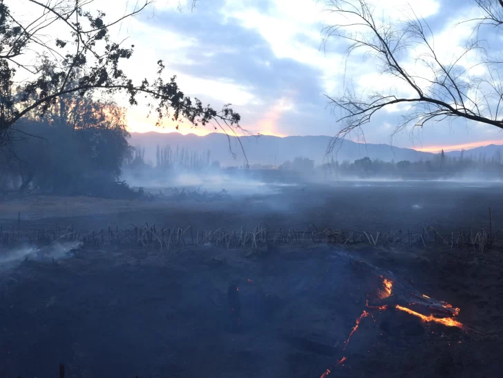 Bomberos tuvieron que actuar en 17 incendios, ocurridos en 10 departamentos diferentes