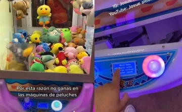 Revelan el secreto de las máquinas de peluches