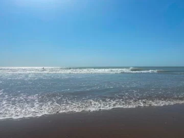 Por la ola de calor, la temperatura del agua en Mar del Plata supera récord de 10 años