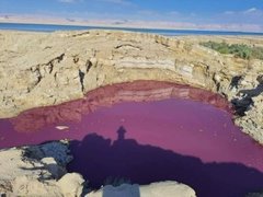 Misterio en el Mar Muerto: un brazo se tiñó de rojo y no encuentran explicación