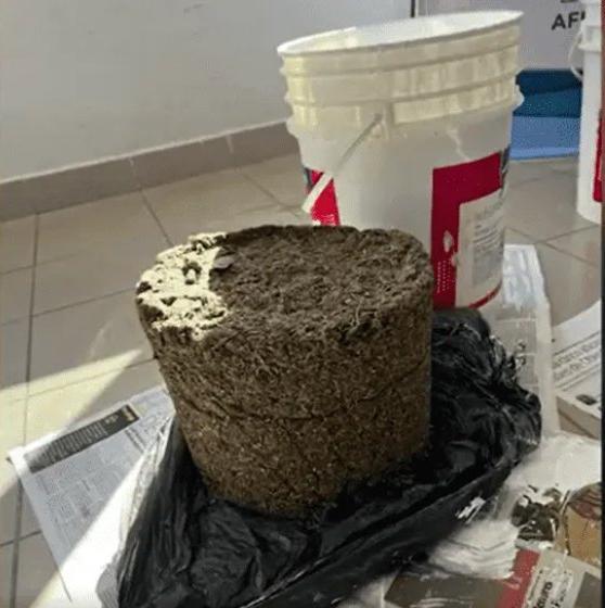 Secuestran más de 6 kilos de marihuana escondidos en envases de pintura