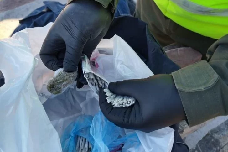 Llevaba en el colectivo a Jáchal 121 armados de marihuana y una bolsa con más hierba