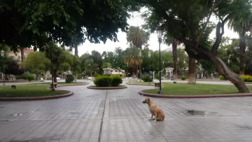 Así estará el tiempo este sábado en San Juan