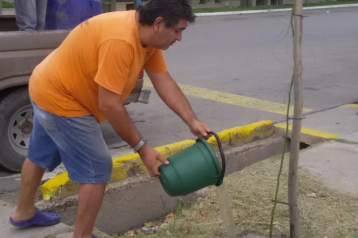 Olmo, el sanjuanino que en 39 años plantó 10.628 árboles