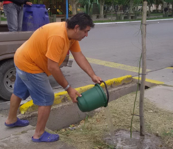 Olmo, el sanjuanino que en 39 años plantó 10.628 árboles