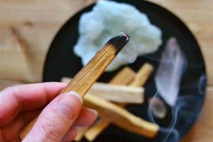 Cómo usar el palo santo para limpiar tu casa