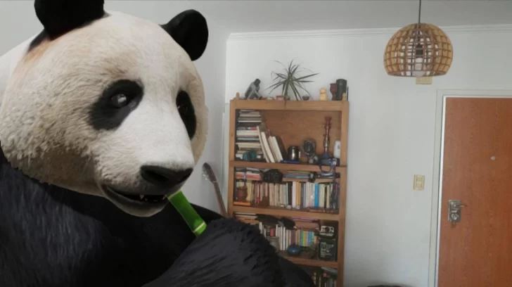 La app para que un panda o un león paseen por tu living