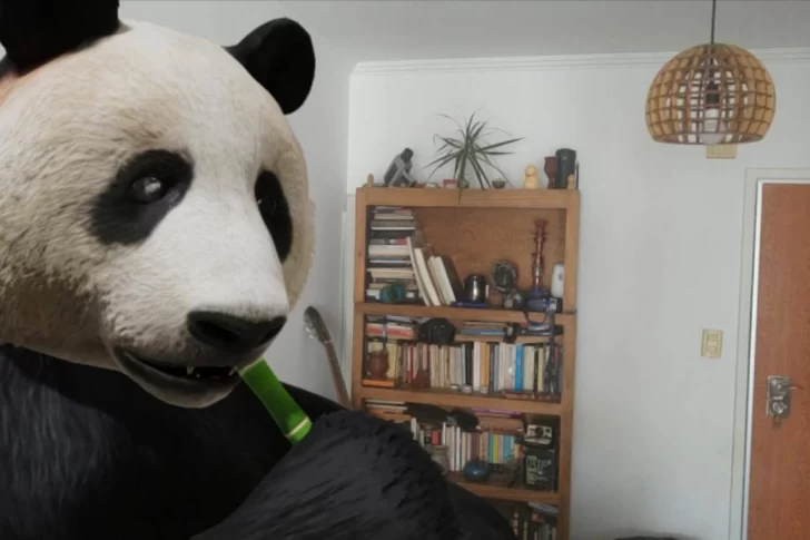 La app para que un panda o un león paseen por tu living