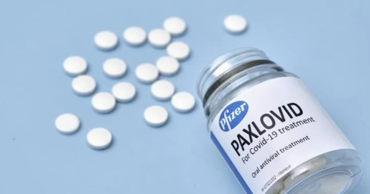 OMS recomendó la píldora antiviral de Pfizer a pacientes con Covid con riesgo de internación